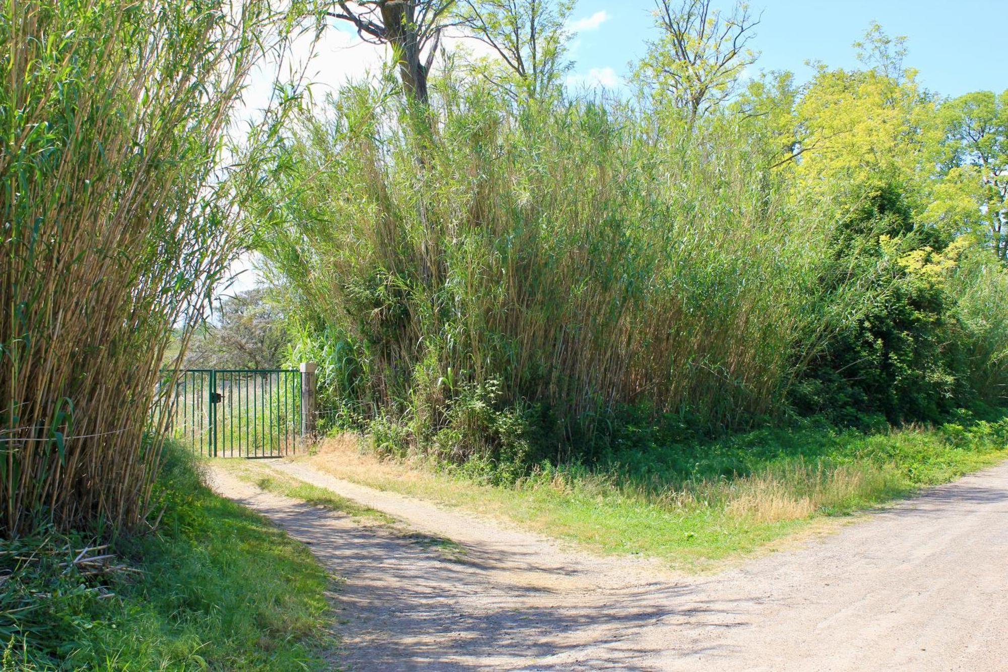 Lobilum En Camargue Villa Saint-Martin-de-Crau Eksteriør billede